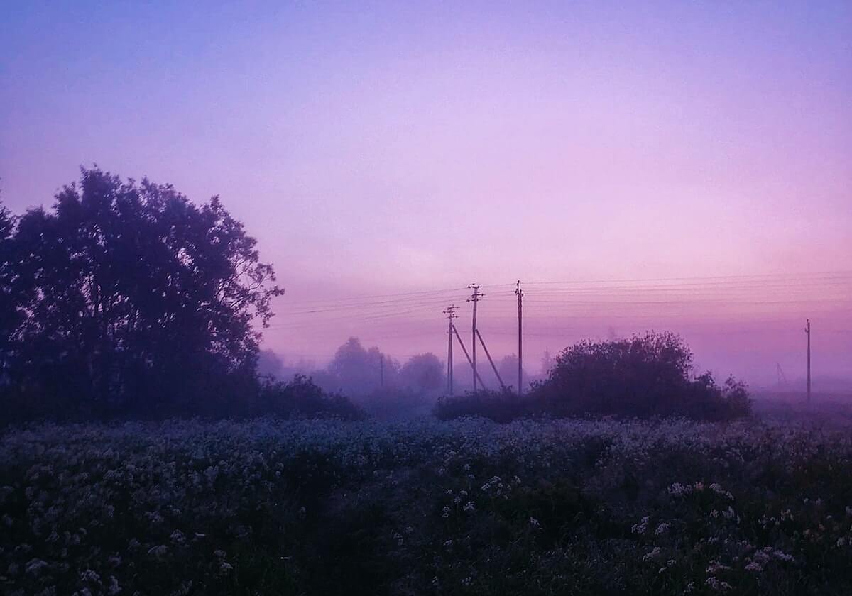 5年2.05亿续约！戈贝尔发布亲笔信：我要在这里夺冠